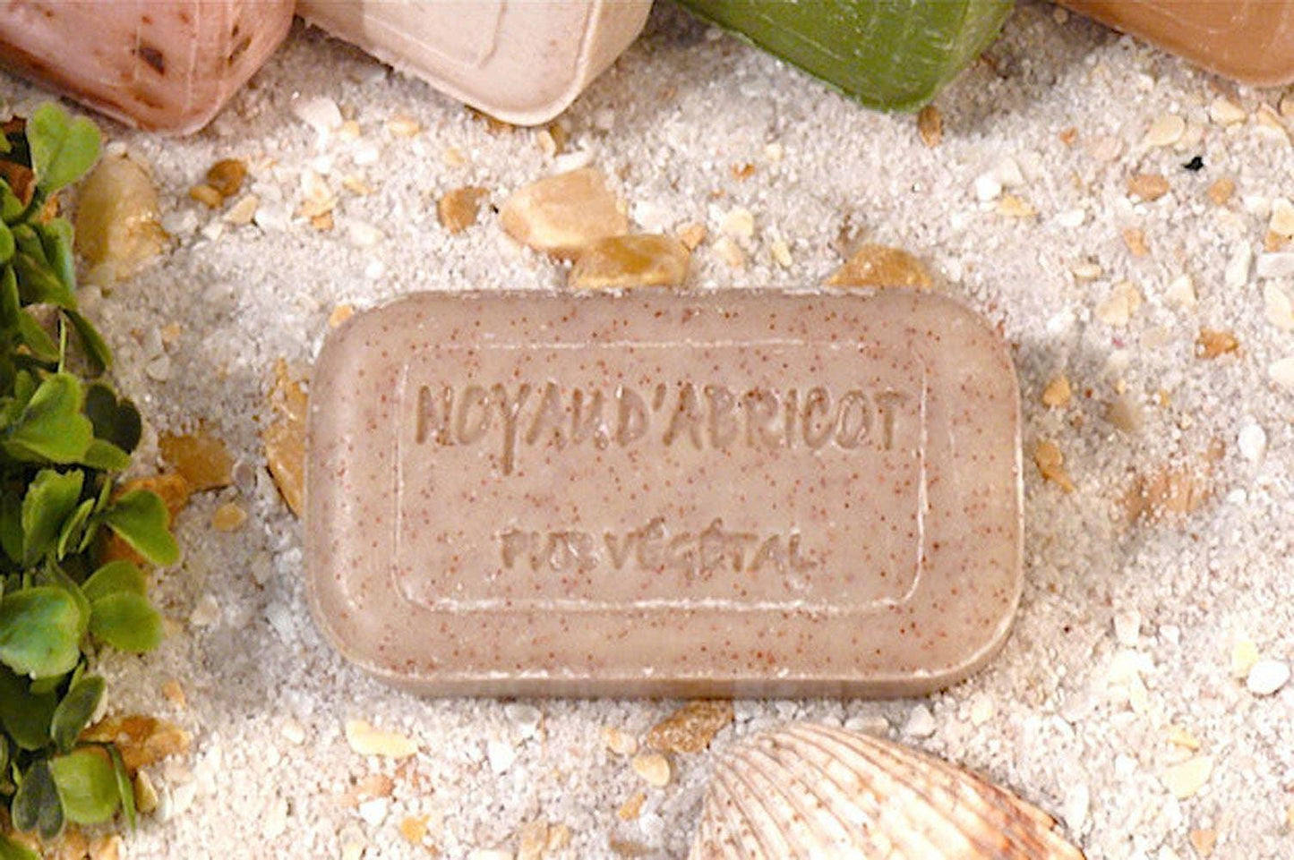Savonnerie de Bormes - Handgemachte Seife 100 g rein pflanzlich Duft "Aprikose" - BTSCreativ