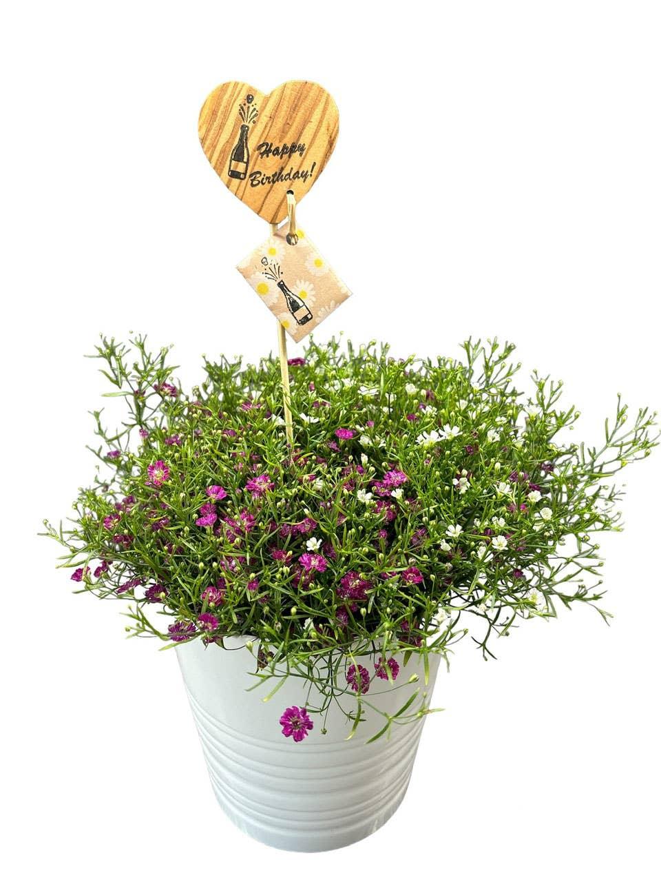 Wunscherfüller Blumenstecker Herz Geburtstag aus Olivenholz - BTSCreativ