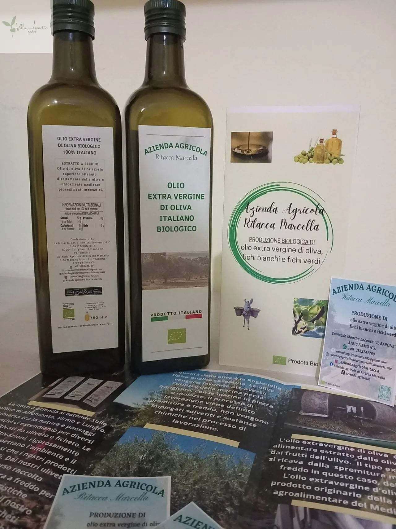 Bio Olivenöl Extra Vergine di Ritacca – aus eigenem Anbau in Kalabrien