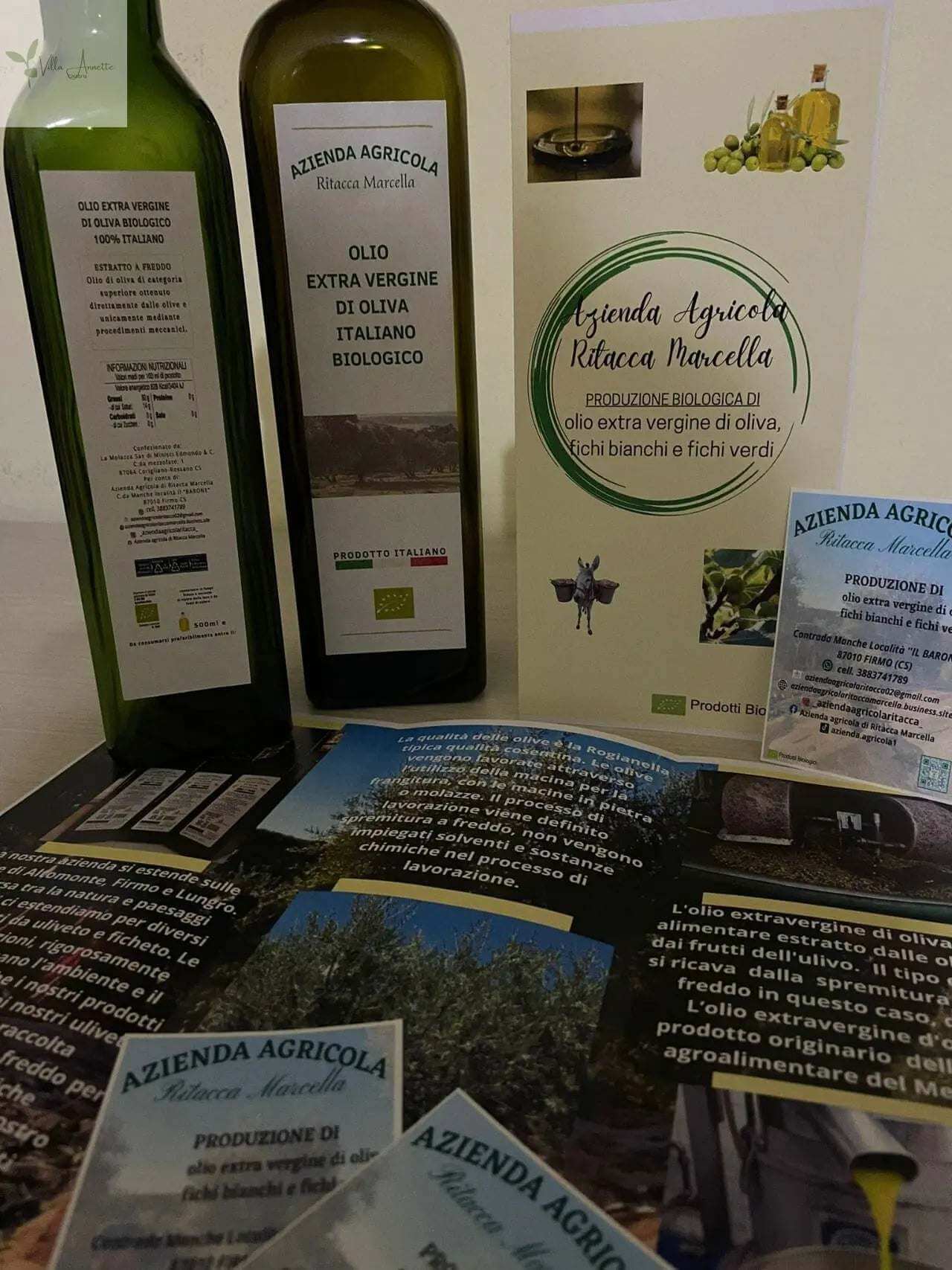 Bio Olivenöl Extra Vergine di Ritacca – aus eigenem Anbau in Kalabrien