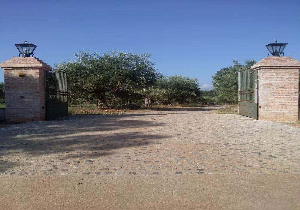 Bio Olivenöl Extra Vergine di Palombari im Kanister